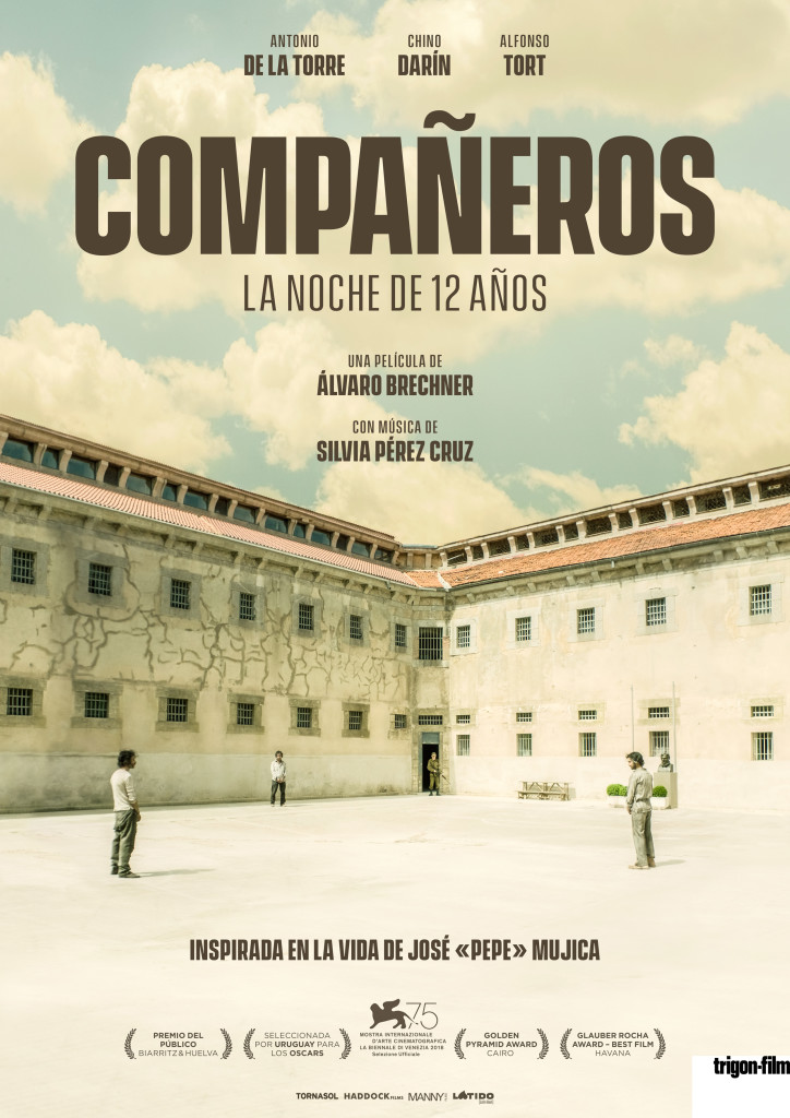 compañeros